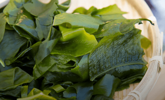 Elemis Aroma Seaweed Massage